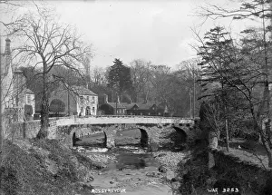 Rostrevor