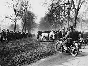 Anticipation Gallery: Rotten Row, August 1939