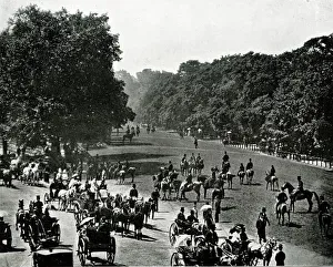 Rotten Row, London