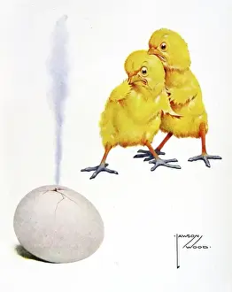 Chicks Prints: Something Rotten in the State of Denmark