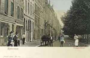 Rotterdam Prints: Rotterdam - The Netherlands - Diergaardelaan