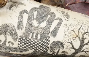 Rough-toothed dolphin skull with ink scrimshaw