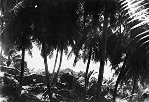 Images Dated 15th June 2016: Round Island, Seychelles