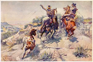 Cowboys Prints: Rounding-up cattle - a mad cow Date: 1908