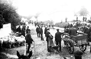 Roundwood (Tochar) Fair, Co. Wicklow, Ireland
