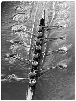 Oars Collection: Rowing Boat Eight