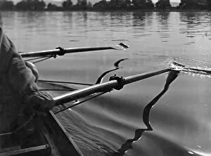 Images Dated 5th September 2011: Rowing Boat Oars