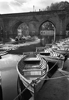 Rowers Prints: Rowing past hire boats, Durham