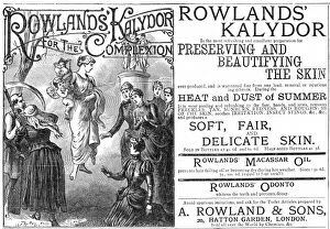 Images Dated 3rd November 2011: Rowlands Kalydor advertisement, 1887