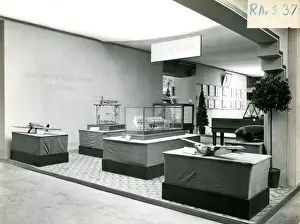 Royal Aeronautical Society display at the International ?