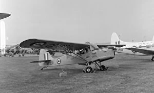 Abingdon Gallery: Royal Air Force Auster T.7 WE600