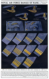 Airmen Gallery: Royal Air Force badges of rank, WW1
