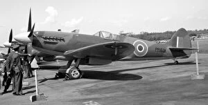 Images Dated 15th February 2021: Royal Air Force - Supermarine Spitfire PR Mk. XIX PM631