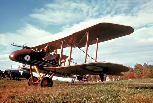 Aerodrome Prints: Royal Aircraft Factory FE.8b replica N17501