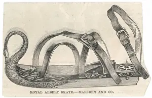 Royal Albert Skate 1851
