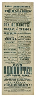 Amphi Theatre Gallery: Royal amphitheatre, Dock-Green, Hull