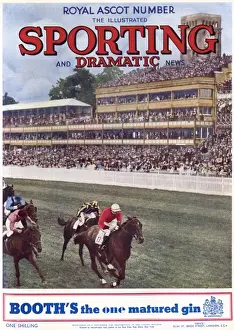 Royal Ascot Number of ISDN