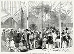 Images Dated 11th March 2020: Royal Botanic Gardens, Conservatory 1846