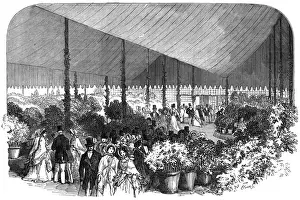 Exhibits Prints: Royal Botanic Society exhibition, Regents Park, London