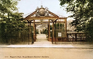 Botanic Collection: Royal Botanic Society Gardens, Regents Park, London