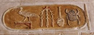 Images Dated 27th November 2003: Royal cartridge of Queen Hatshepsut. Temple of Hatshepsut. D