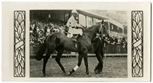 Charter Prints: Royal Charter, Australian race horse