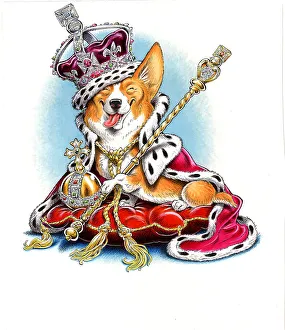 Corgis Gallery: Royal Corgi