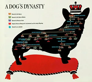 Queen Gallery: Royal Corgi family tree