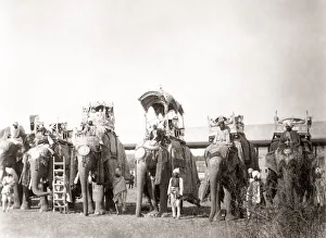 Elephants Prints: Royal elephants with ornate howdahs, India, c. 1870
