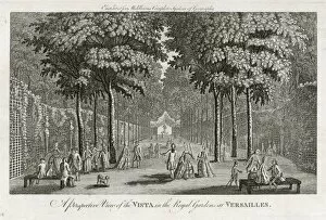 Greenery Gallery: Royal Gardens Versailles