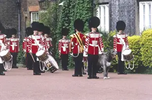 Royal Guards Band