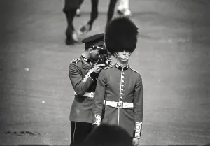 Duties Prints: Two royal guards, London