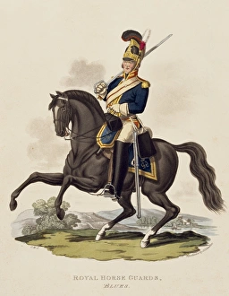 Images Dated 23rd August 2016: Royal Horse Guards