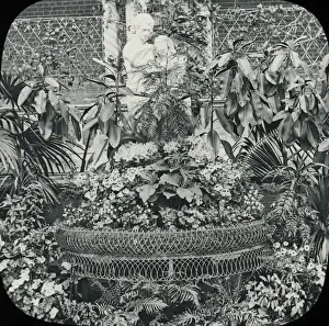 Royal Horticultural Society, Interior of Conservatory