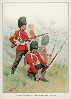 Regiment Collection: Royal Irish Fusiliers