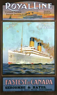 Ship Posters Collection: Royal Line poster