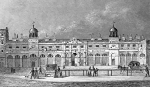 Mews Prints: ROYAL MEWS