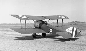 Acquired Gallery: (Royal Naval Air Service) Sopwith Dove / Pup N5180