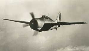 Royal Navy - Grumman G-36A or G-36B Martlet I Royal Navy - Grumman G-36A or G-36B Martlet I