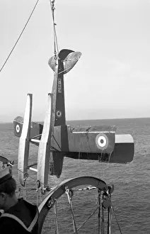Royal Navy - de Havilland DH. 82 Queen Bee K8671