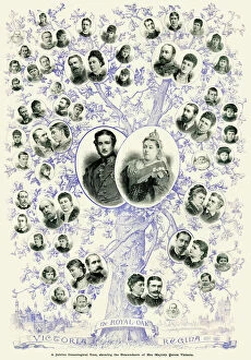 Duchess Gallery: The Royal Oak - Queen Victoria and descendents family tree