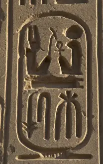 Royal protocol of Ramses II. Cartridge