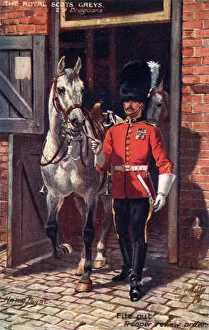 Images Dated 23rd February 2012: The Royal Scots Greys - 2nd Dragoons