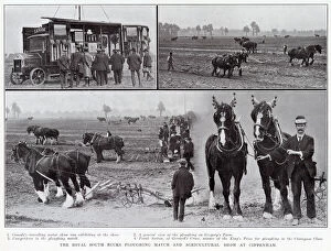 Sutton Gallery: The Royal South Bucks ploughing match and agricultural show at Cippenham, 1913. 1
