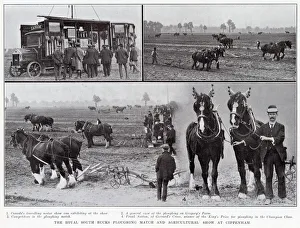 The Royal South Bucks ploughing match and agricultural show at Cippenham, 1913. 1 The Royal South Bucks ploughing match and agricultural show at Cippenham, 1913. 1