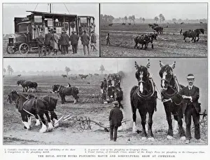 The Royal South Bucks ploughing match and agricultural show at Cippenham, 1913. 1
