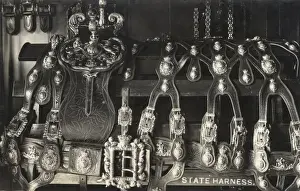 Tack Prints: The Royal State Harness