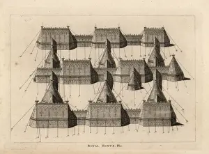 Royal tents pitched for a meeting at Ardres 1520