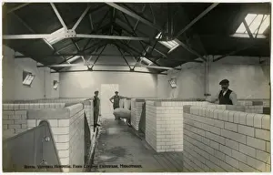 Royal Victoria Hospital Farm Colony, Polton, Scotland