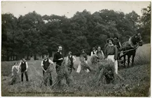 Royal Victoria Hospital Farm Colony, Polton, Scotland